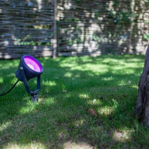 Eco-Light LED zapichovací hrot Mini Leto, RGBW smart